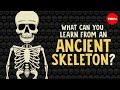 Understanding Ancient Skeletons