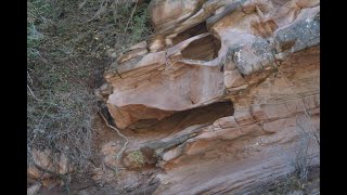 The Fantasy T Rex at Kolob Canyons, Zion National Park, UT, on the Taylor Creek Trail