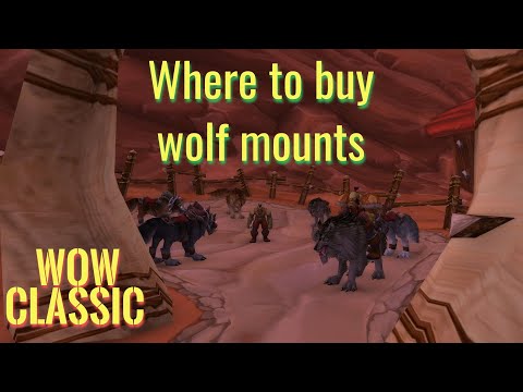 WoW Classic/Where to buy Orc wolf mounts