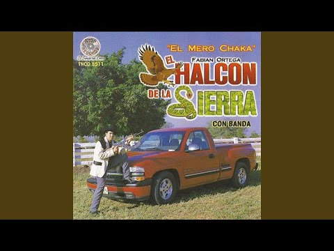 Huevos Y Frijoles De El Halcon De La Sierra Letra Y Video Masletras Com el halcon de la sierra letra y video