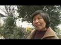 Three Gorges Dam: Environmental and Social Impacts