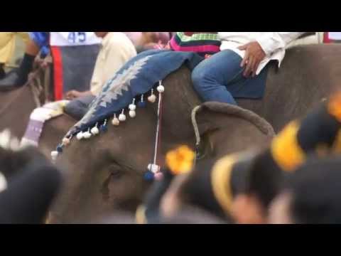 Laos-Simply Beautiful: Lao Elephant Festival in Sayabouly