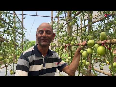 खुशी किसान, सरकारको सहयोग, किसानको मेहनत ।। Ruru Krishi Pariyojana