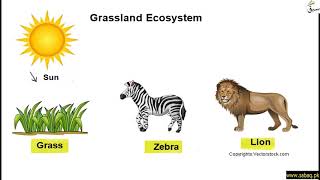 Ecosystem and its Types