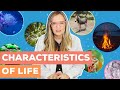 Exploring the Characteristics of Life
