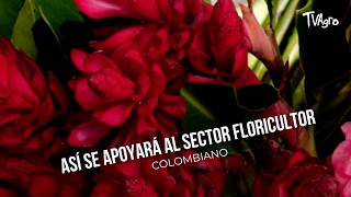 YouTube video thumbnail: How the Colombian Flower Industry Will be Supported 