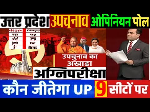 उत्तर प्रदेश उपचुनाव वोटिंग के ठीक पहले किसका पलड़ा भारी 9  सीटों का ओपिनियन पोल BJP Vs SP कौन आगे ?