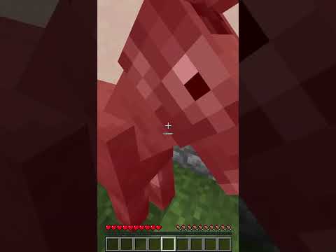 Minecraft AMA Tavuk Görürsem Video Biter 🐔