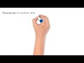 Otolaryngology and Eye Care Concepts