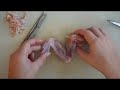 Chicken Wing Dissection Concepts