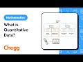 Understanding Data Types and Visualization
