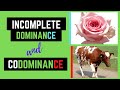 Exploring Non-Mendelian Genetics: Incomplete Dominance and Codominance