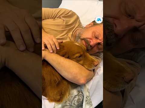 Pet's impact on owner? #respect #kindness