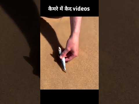 कैमरे में कैद VIDEOS #shorts
