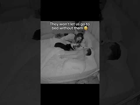 Can't go to sleep until everyone is snuggling