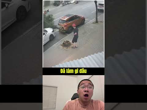 Hoạ tự nhiên tới.