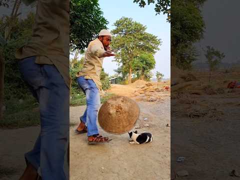 কলার নিচে কি #funny #comedy #shorts #viralvideo