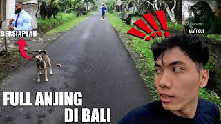 Dikejar Anjing Ketika Joging - Vlog Bali TOMODAKI #7
