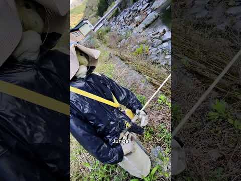 ALLEINE in einem GRUSELIGEN Dorf?! 😵💫