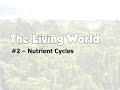 Nutrient Cycling and Ecosystem Dynamics
