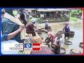 Bushmeat and Wildlife Markets in Nigeria