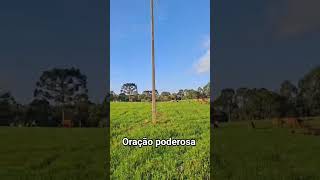 #fé #deustemumapalavrapravoce #shortyoutube #reflexão