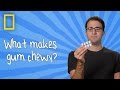 Understanding Chewing Gum