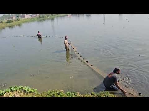 fishing in india trab fishing