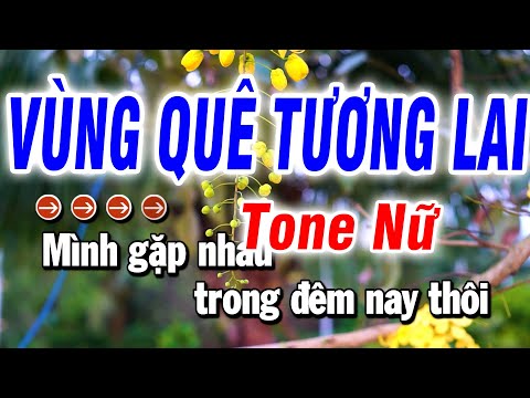 Karaoke Vùng Quê Tương Lai  Nhạc Sống Tone Nữ | Bảo Hưng