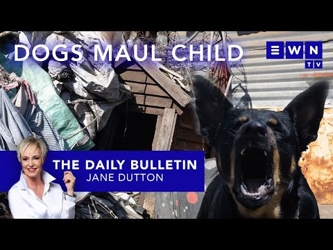 The day that was: MK Mp’s Transnet fraud case, dogs fatally maul 3-yr-old, DA’s Presidential spat