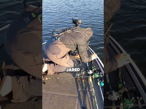 Jarrod Loses It!