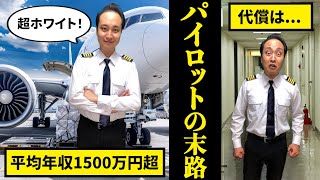 【完璧すぎる職業？】パイロットになるとどうなるのか？【末路】