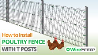 Video thumbnail for Poultry fencing installation with chicken wire & T posts