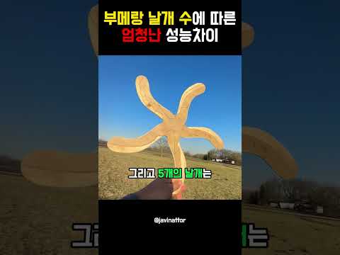 부메랑 날개 수에 따른 엄청난 성능 차이