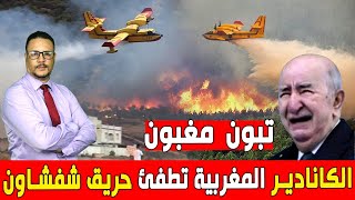 تبون مغبون - الكانادير المغربية تخمد نيران شفشاون