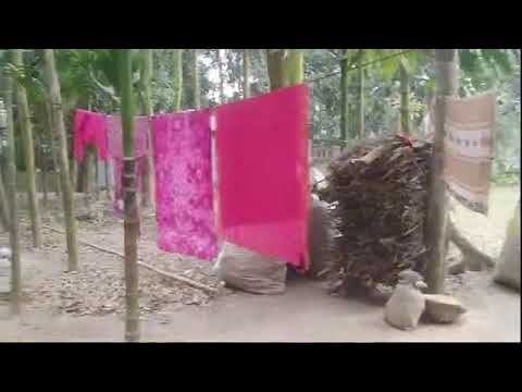 জবা আপুর বাড়িতে ঘুরতে আসলাম