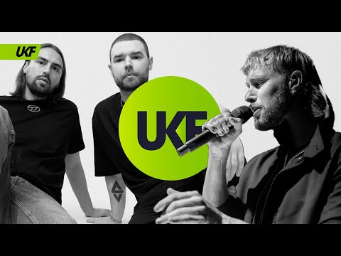 Synergy - Stay (ft. Rienk)