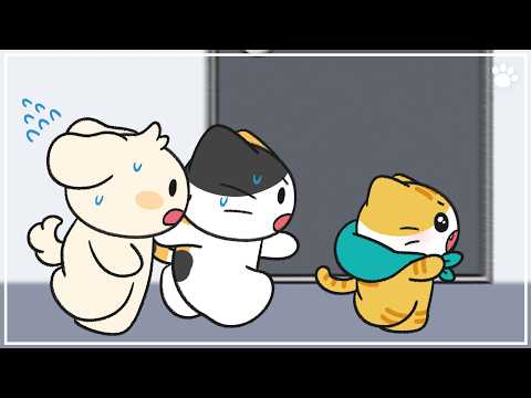 20세기 미국에서 태어난 고양이, 스파이로 활동하게 되었다