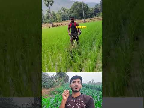 বাংলাদেশি কৃষক ভাইয়ের বুদ্ধি দেখেন