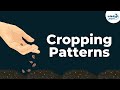 Understanding Cropping Patterns