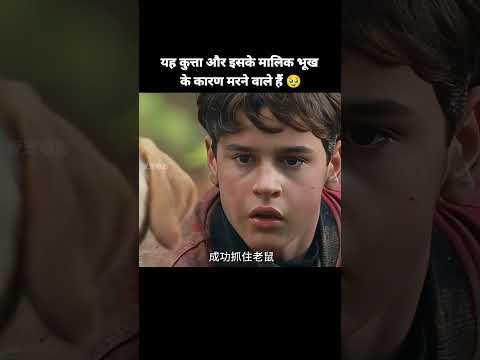 यह कुत्ता और इसके मालिक भूख के कारण मरने वाले हैं 🥹 #dogs #dog #animals #shorts