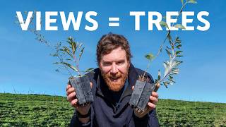 Using YouTube to plant a forest
