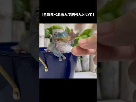 口からはみ出してるから取ってあげようと思ったんやけど…笑