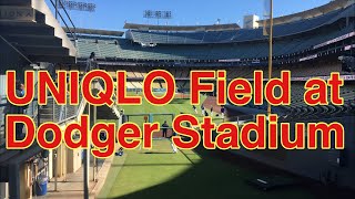 UNIQLO Field at Dodger stadium live!