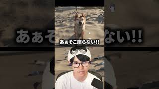 犬へのツッコミが止まらない配信者#葉 #ゲーム実況 #restoreyourisland