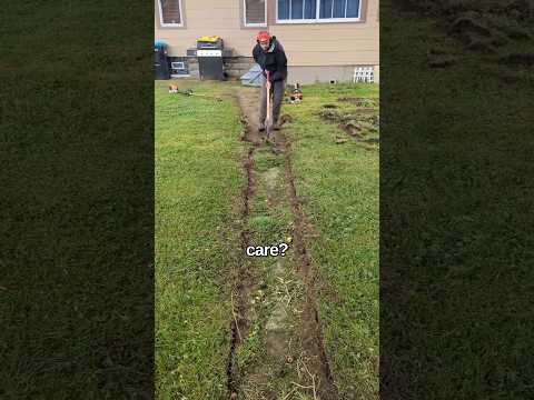 Why would this guy lie? #lawncare #grassmastermatt