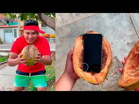 LEXITO DESCUBRIO UN CELULAR DENTRO DE UN COCO - LOS MEJORES TIKTOKS DE LEX JARA