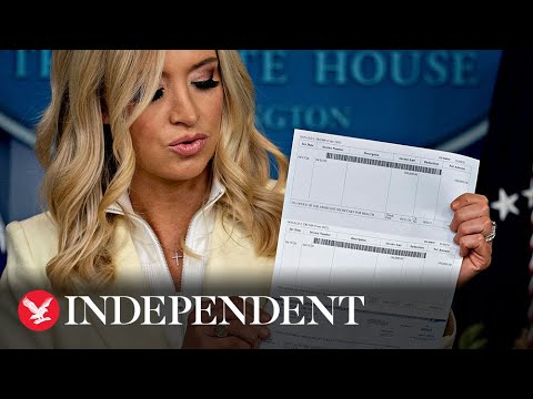 What Is Kayleigh Mcenany Salary Jobs Ecityworks