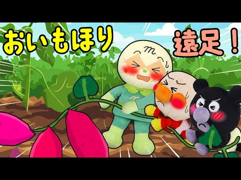 アンパンマンが秋のお芋掘り遠足に行くよ！いろんな面白いお芋さんを掘るよ！ | 赤ちゃんが喜ぶ | 絵本 読み聞かせ アンパンマンアニメ 面包超人