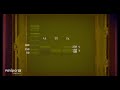 Genotypes and PCR Analysis